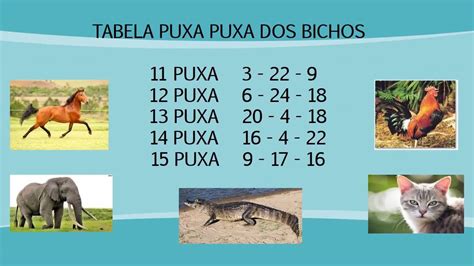 elefante puxa o quê no jogo do bicho - borboleta puxa que bicho